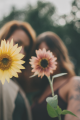 images/home/portfolio/Bild 3_9 Raster.png